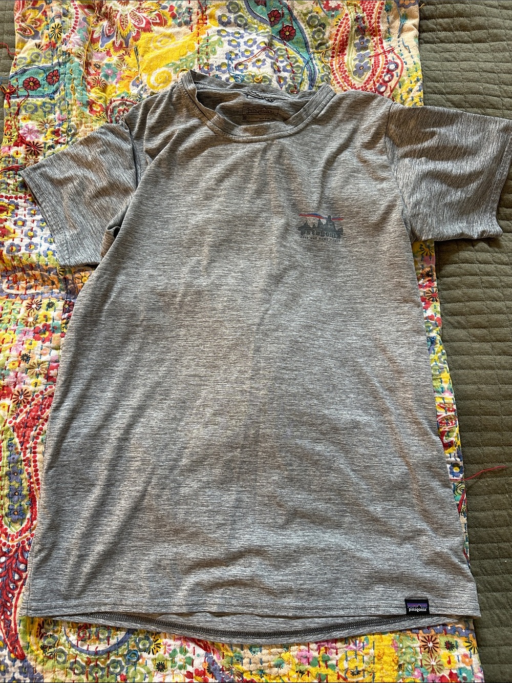 Patagonia Tech Tee